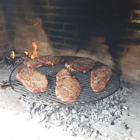 El Olivo * Tordesillas