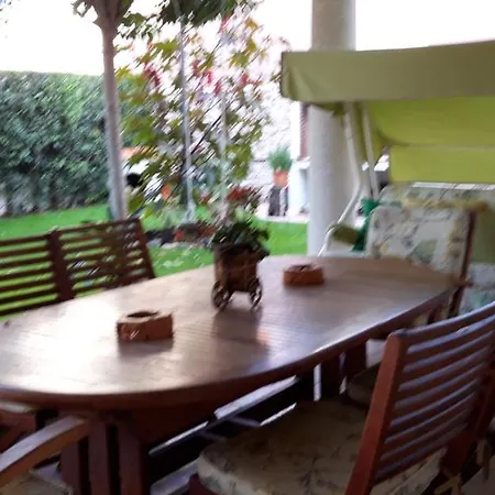 El Olivo Tordesillas