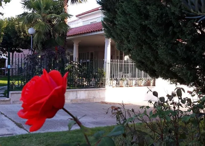 El Olivo Tordesillas