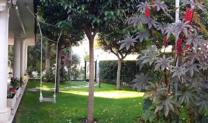 El Olivo Tordesillas