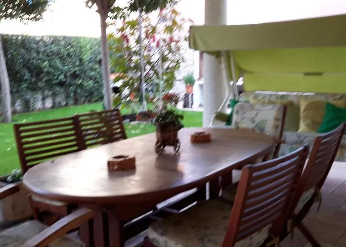 El Olivo Tordesillas